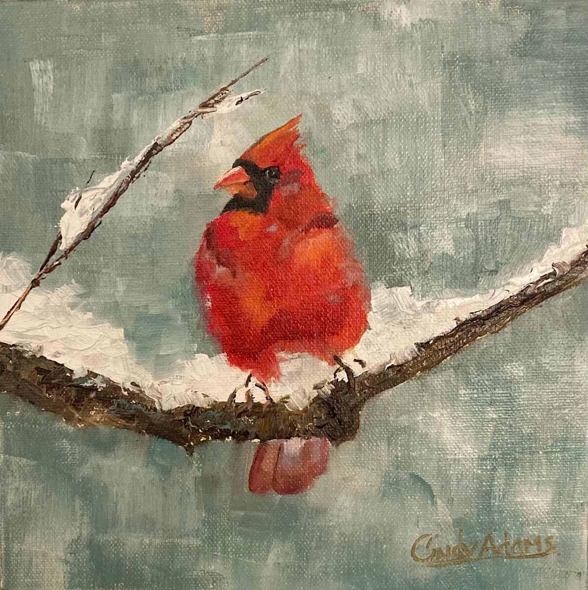 Cardinal in Winter 2 by Cindy Adams 