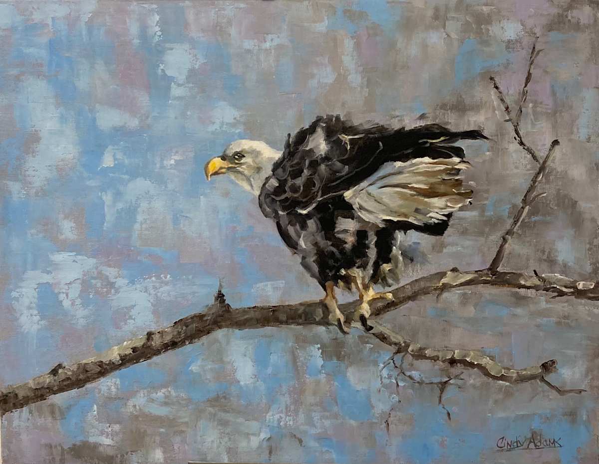 Eagle by Cindy Adams 