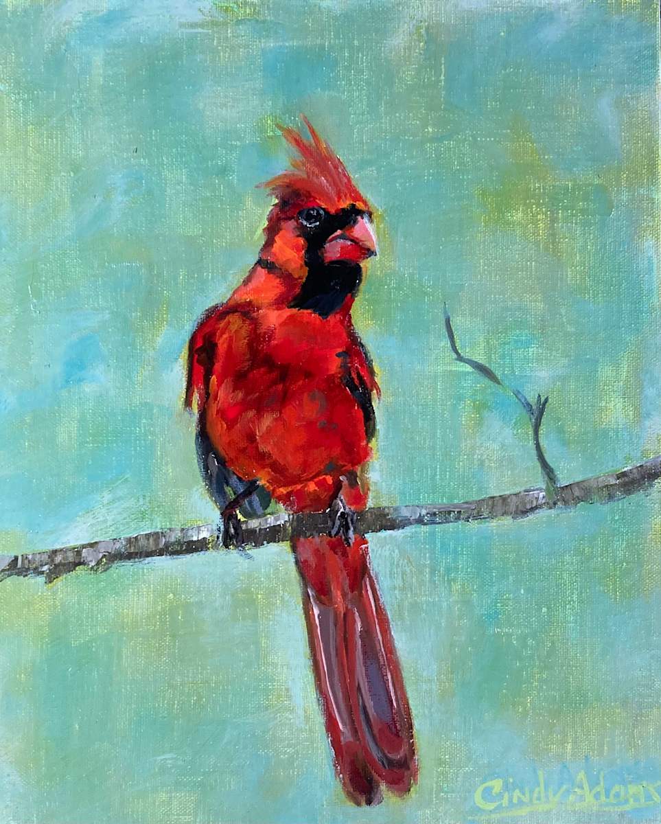Cardinal by Cindy Adams, Image 1.