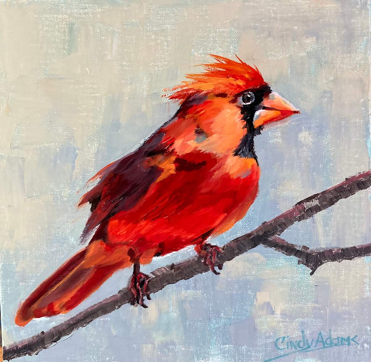 Cardinal by Cindy Adams, Image 1.