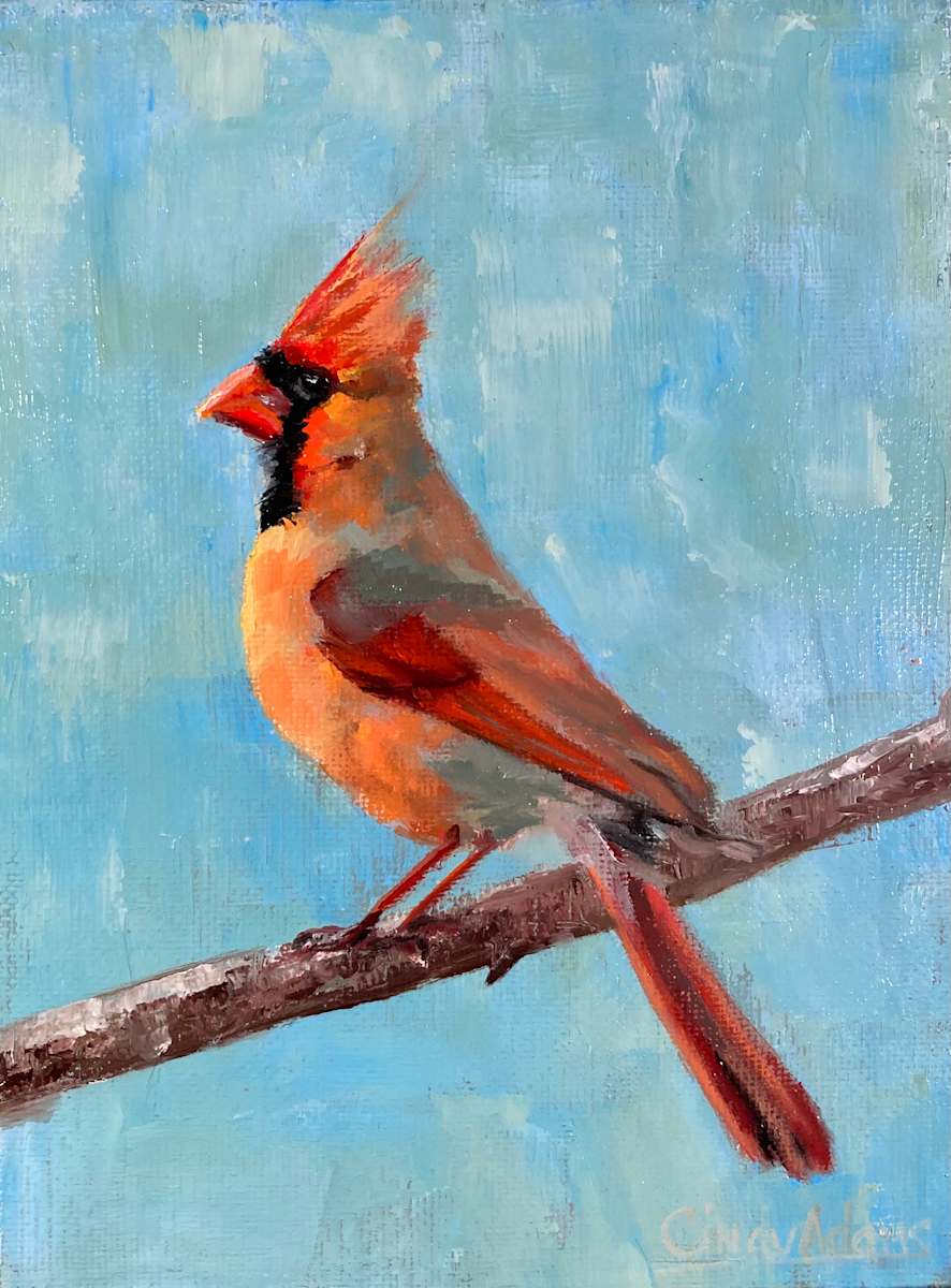 Cardinal by Cindy Adams 