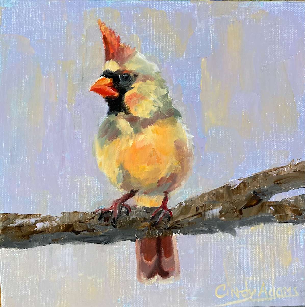 Cardinal by Cindy Adams, Image 1.