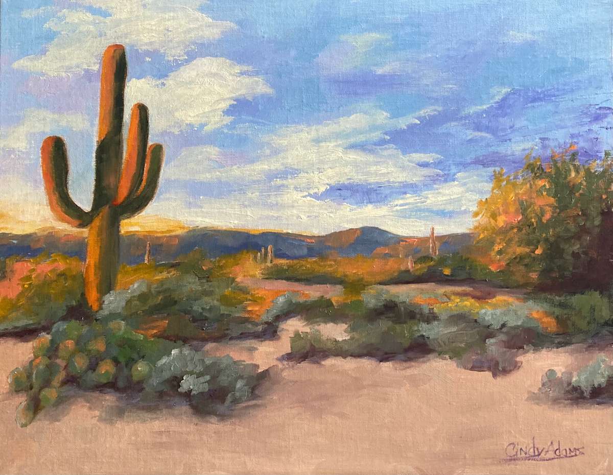 Desert Sunset by Cindy Adams 
