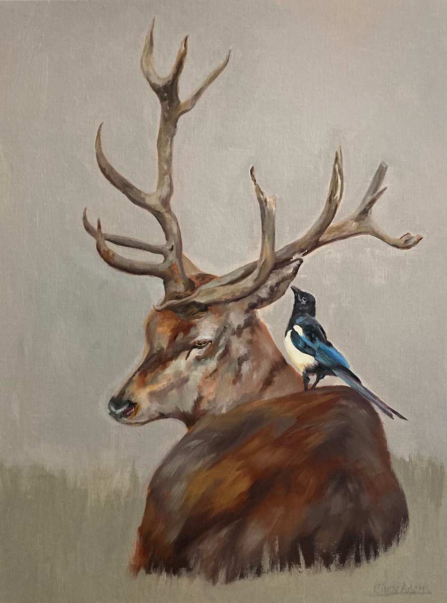 Beauty at Rest by Cindy Adams, Image 1.