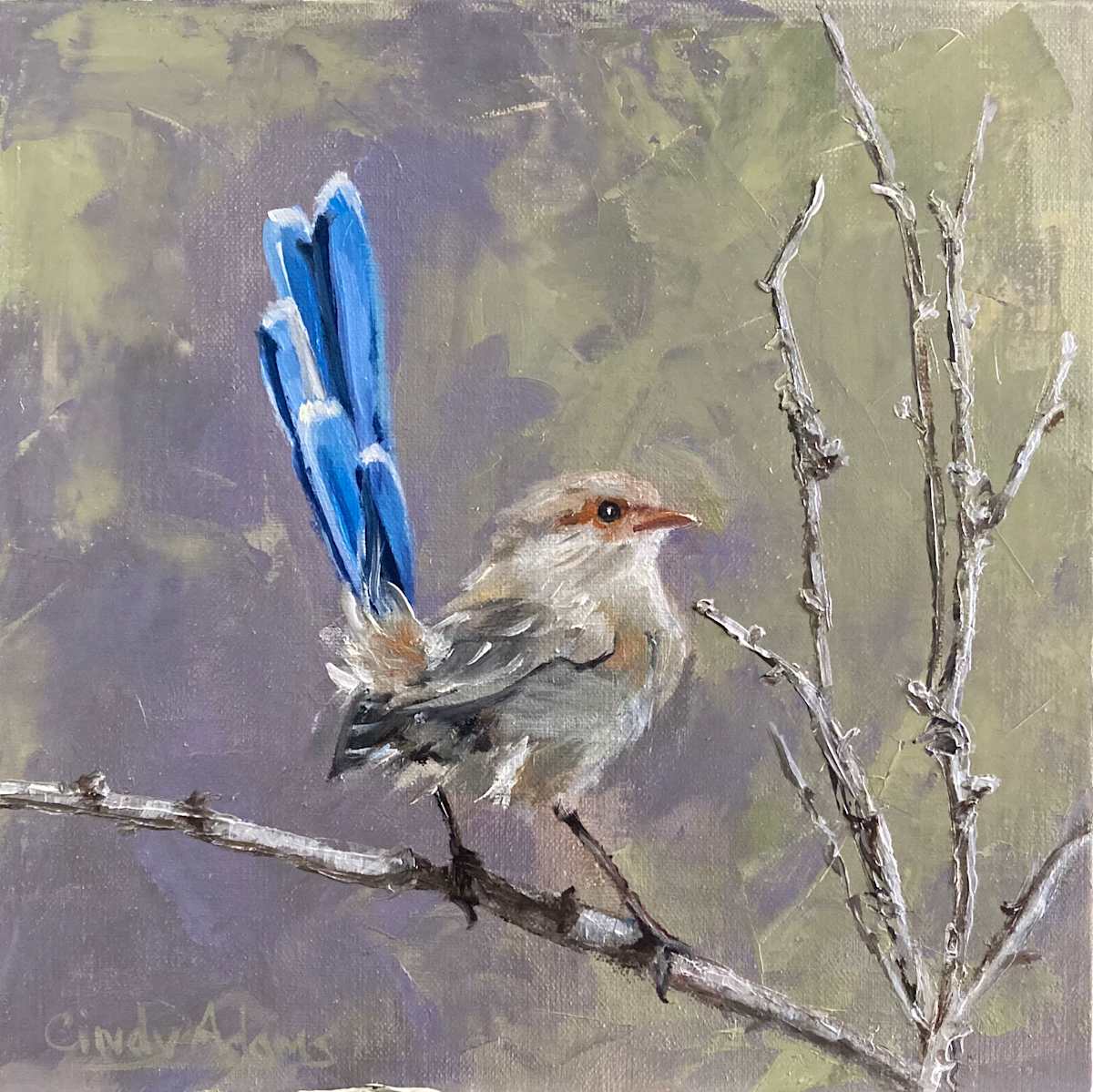 Show Off by Cindy Adams 