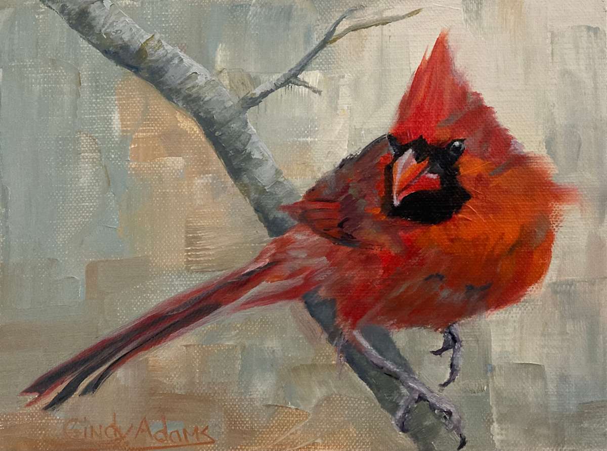 Cardinal by Cindy Adams, Image 1.