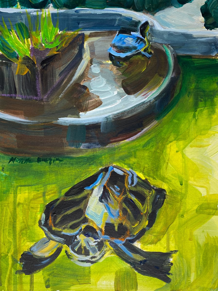 The Fountain Turtles of Verona by Michelle Boerio 