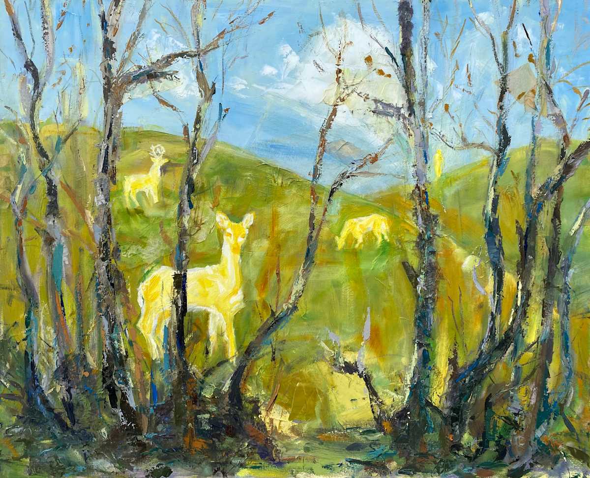 Illusions in the Woods by Michelle Boerio, Image 1.