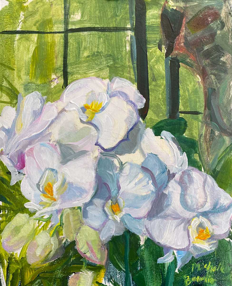 In the Orchid Room by Michelle Boerio 
