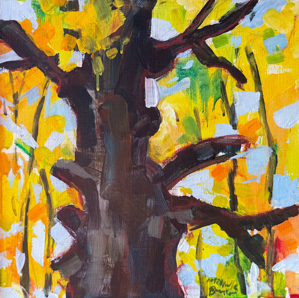 September Maple by Michelle Boerio, Image 1.