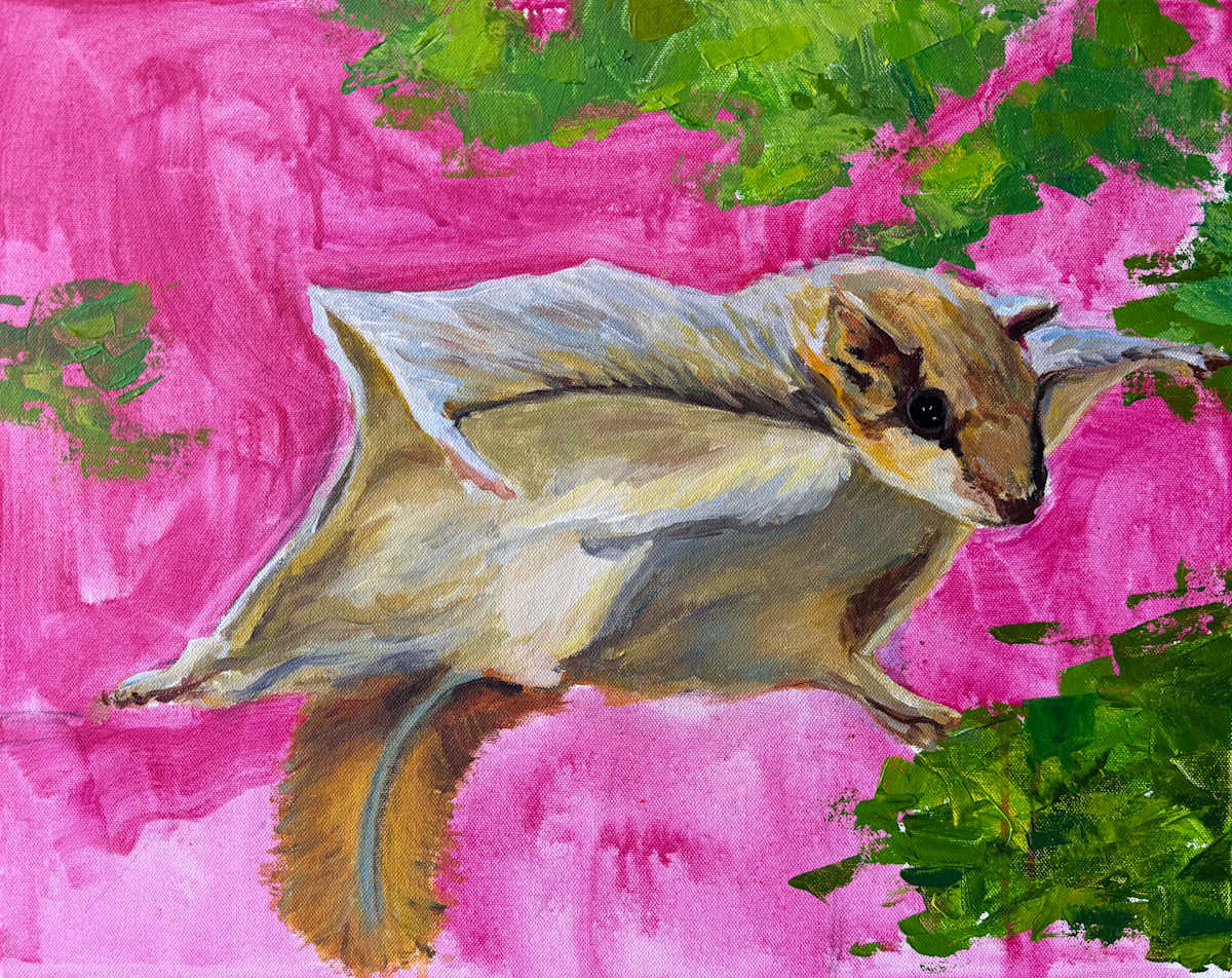 Night Flight by Michelle Boerio, Image 1.