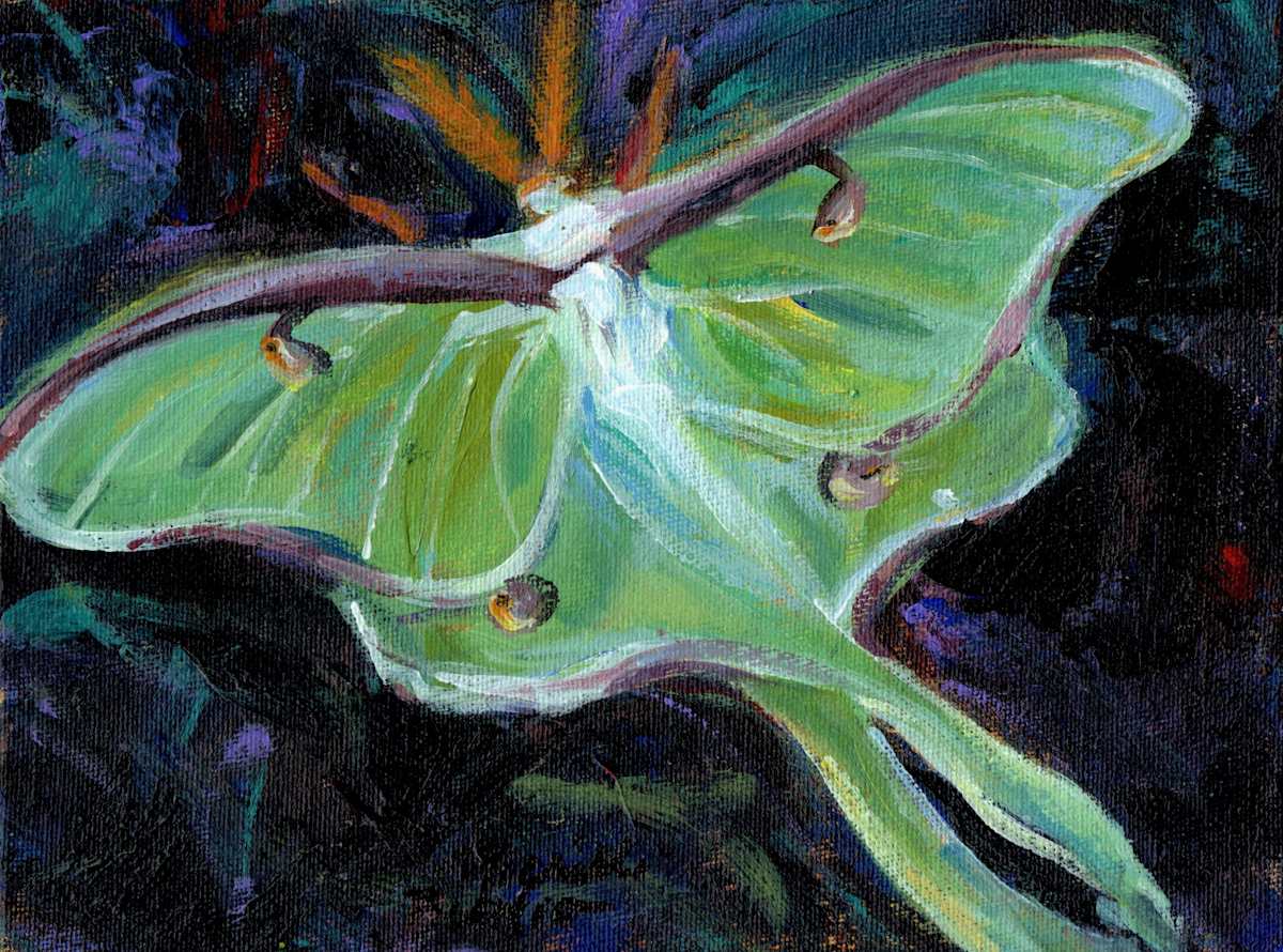 Luna Moth by Michelle Boerio, Image 1.