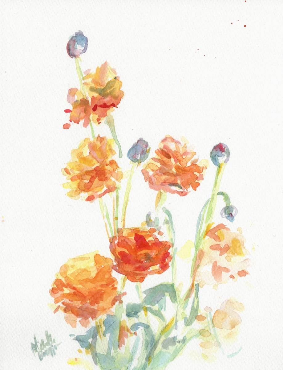 Ranunculus by Michelle Boerio 