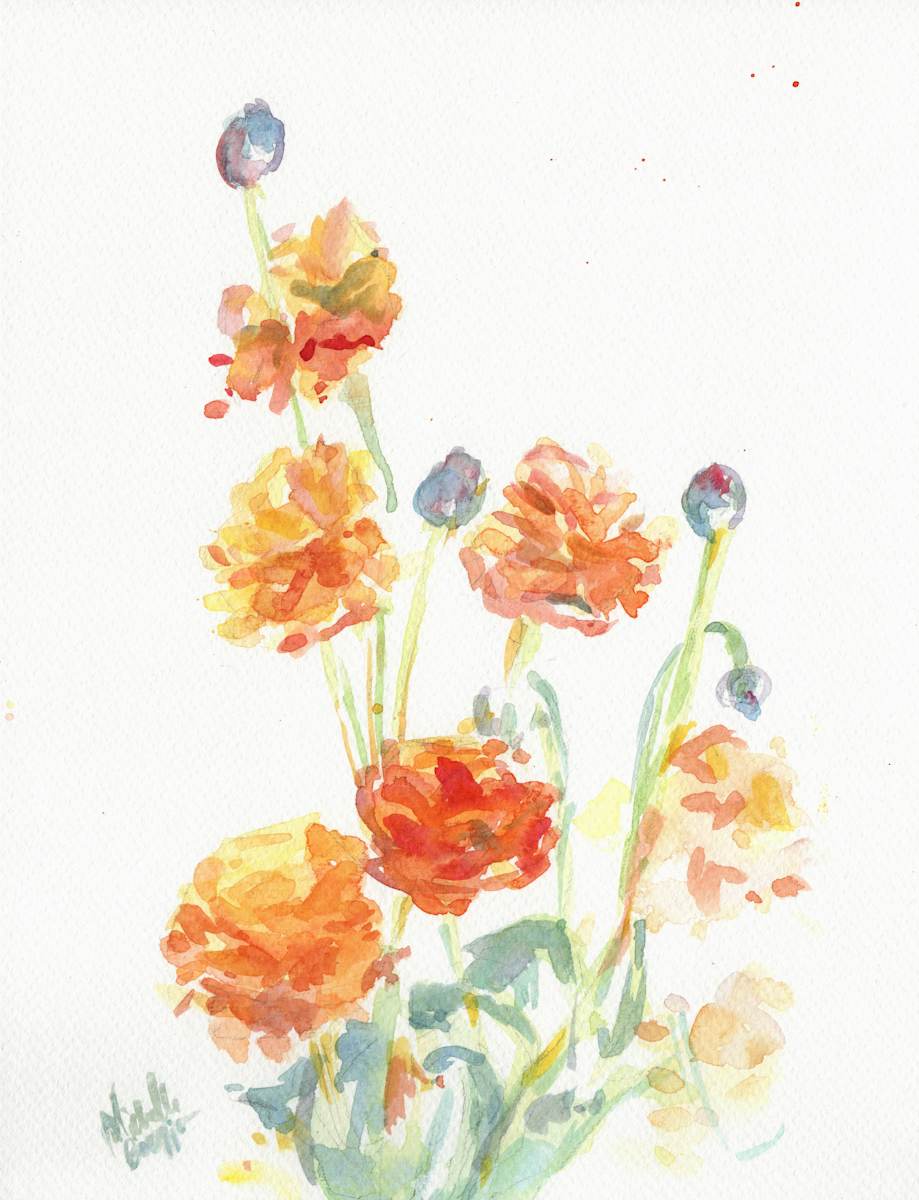 Ranunculus by Michelle Boerio, Image 1.