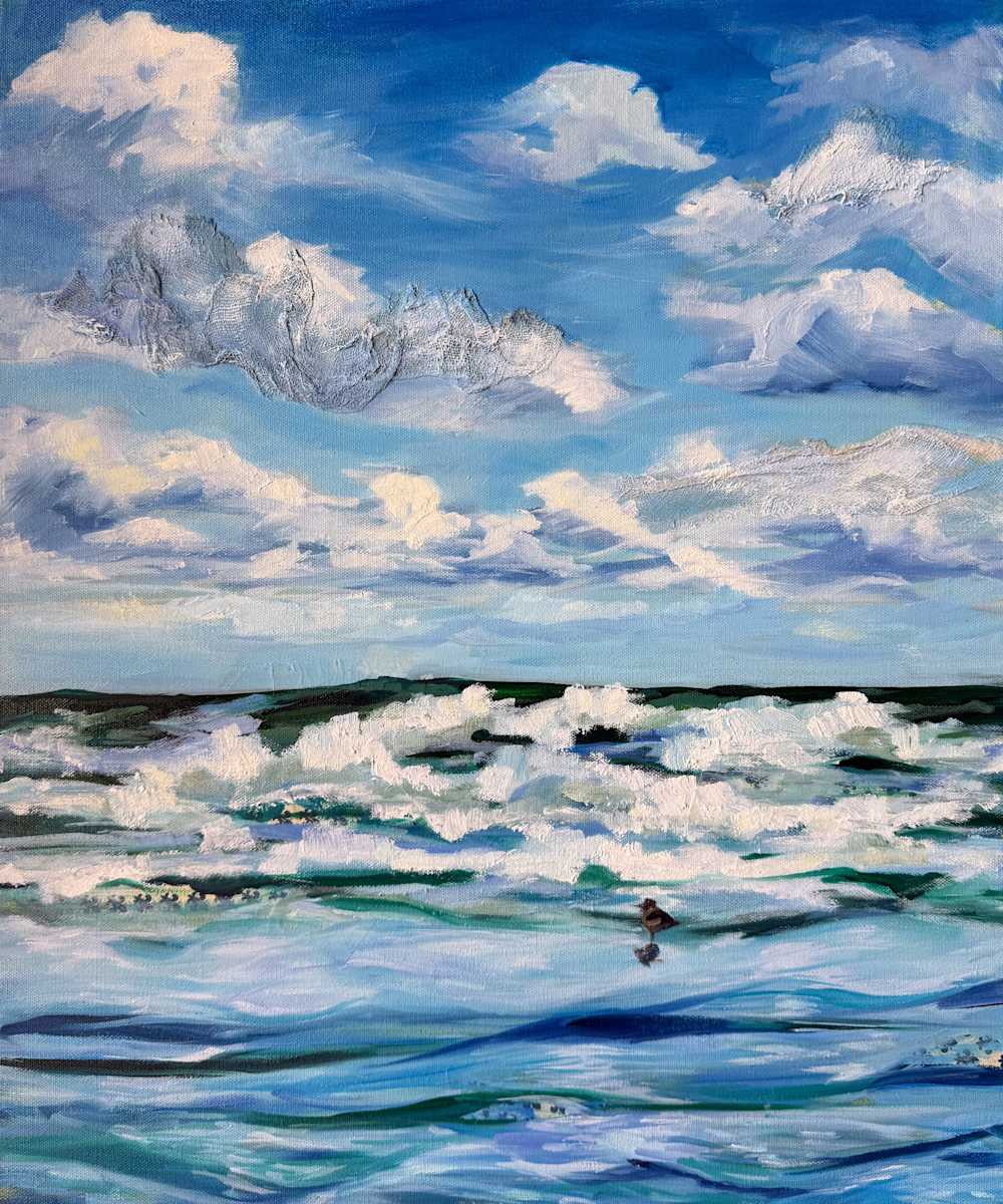 Shorebird in the Wave by Michelle Boerio, Image 1.
