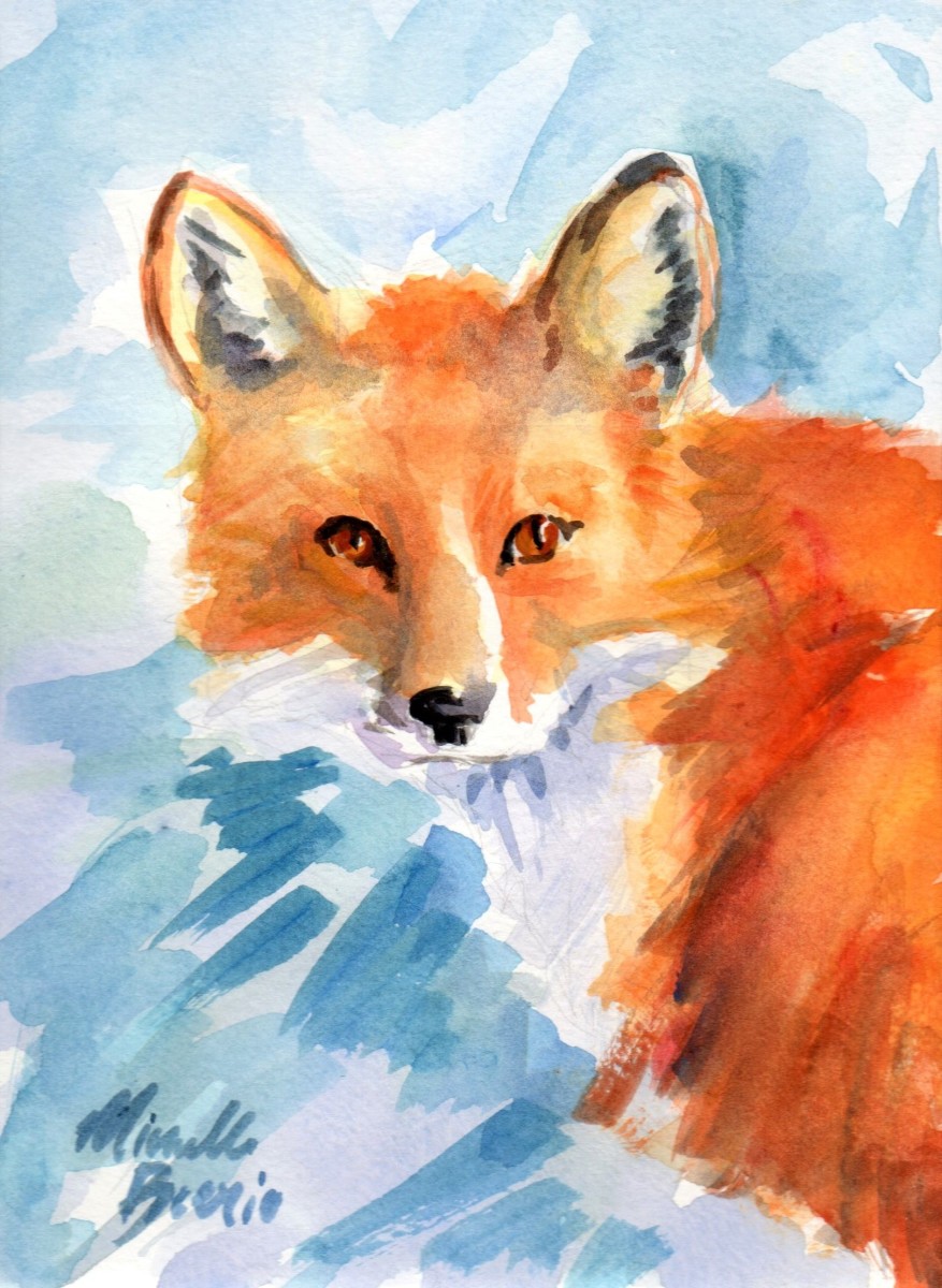 Vulpes vulpes by Michelle Boerio 