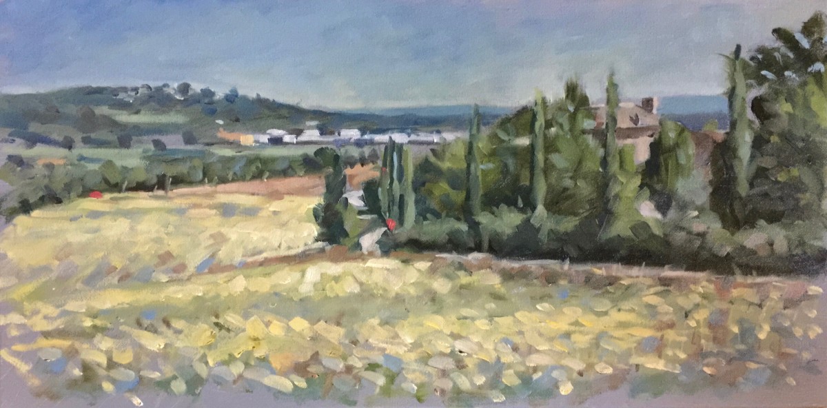 Sunflower fields, Borgo al Cerro, midday by Andrew Hird ARSMA 