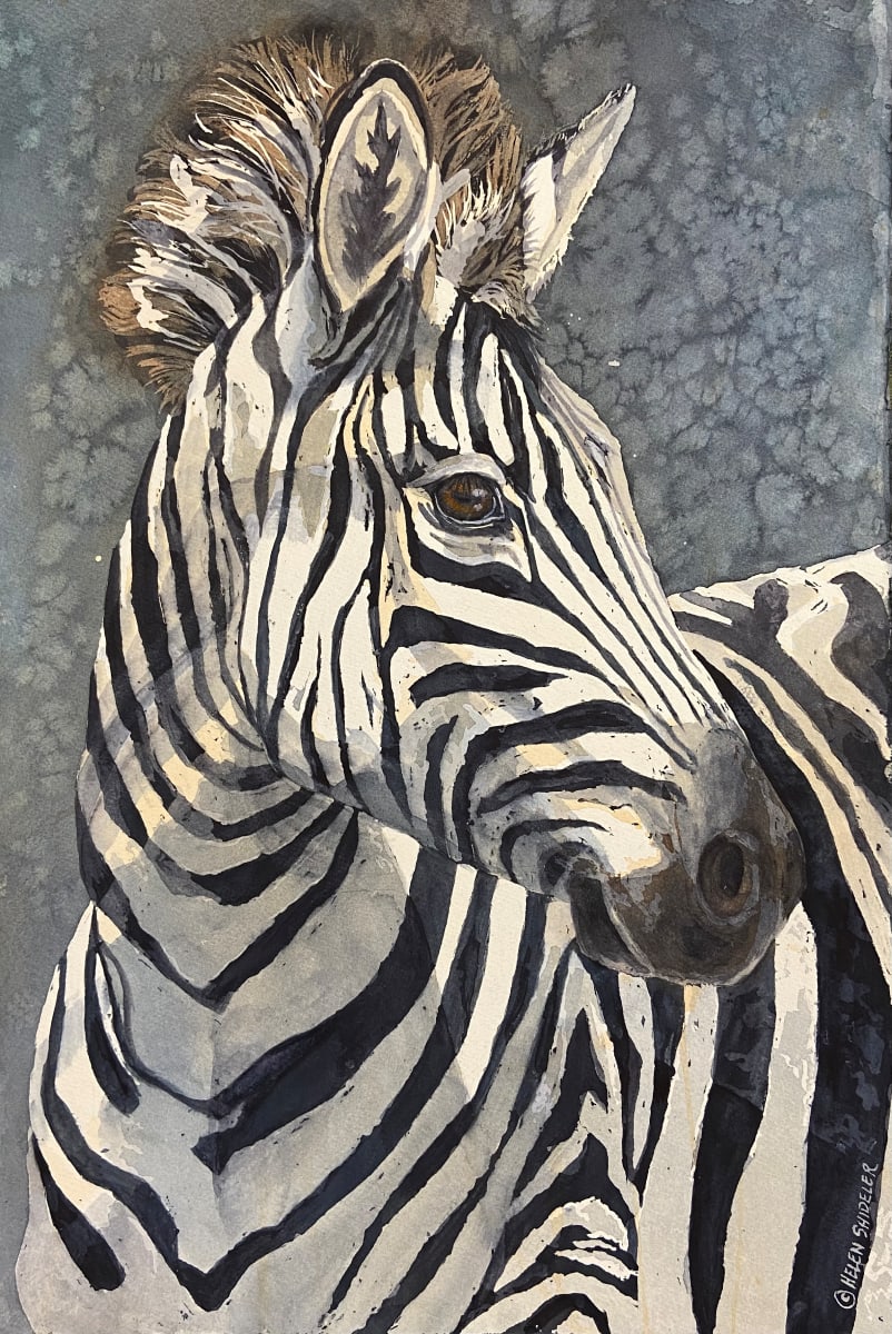 Zazzle by Helen Shideler 