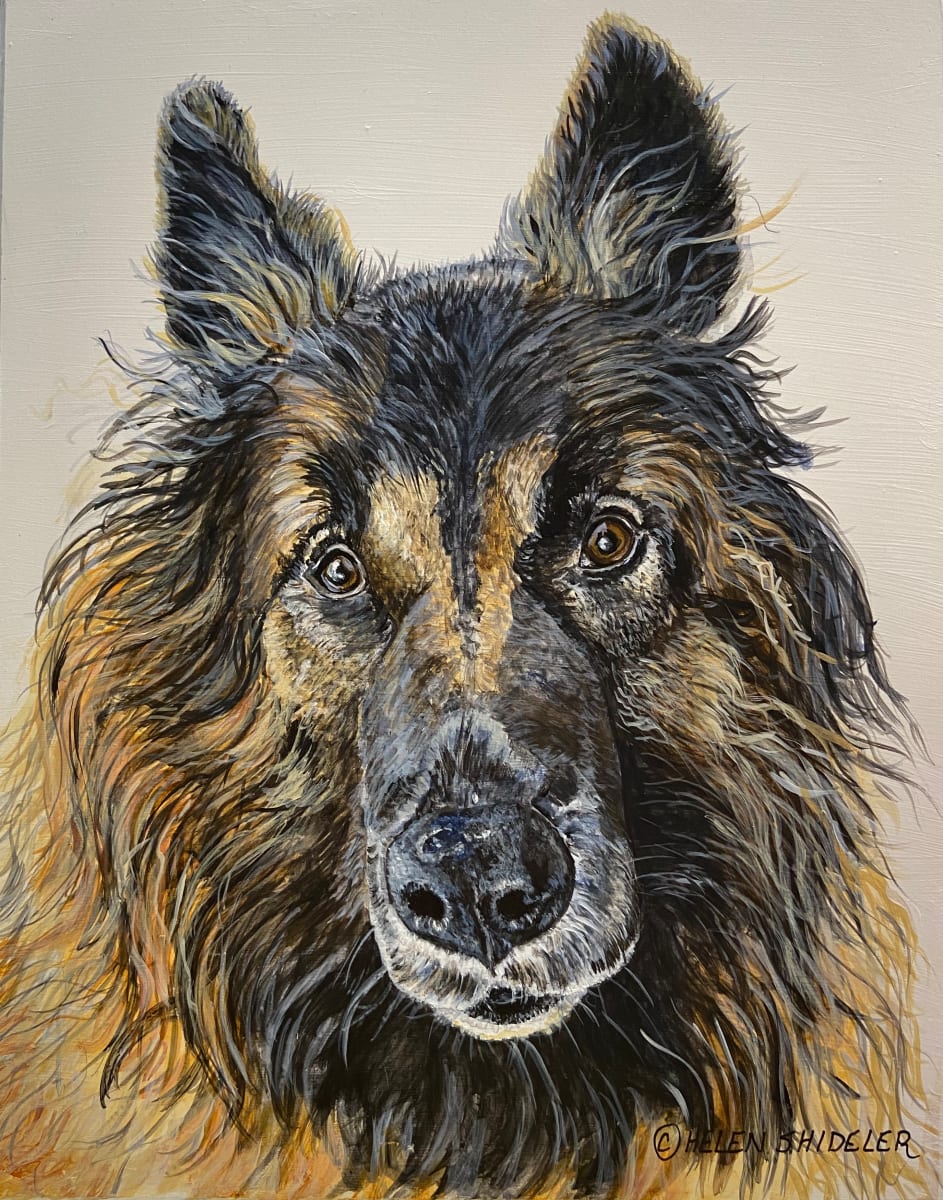 Bearyn 