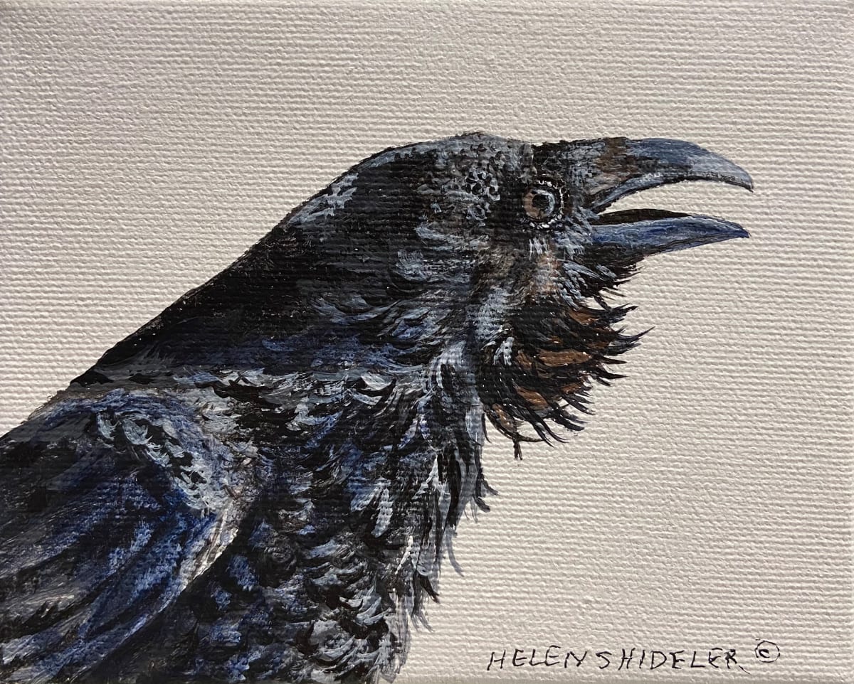 Squawk Talk 