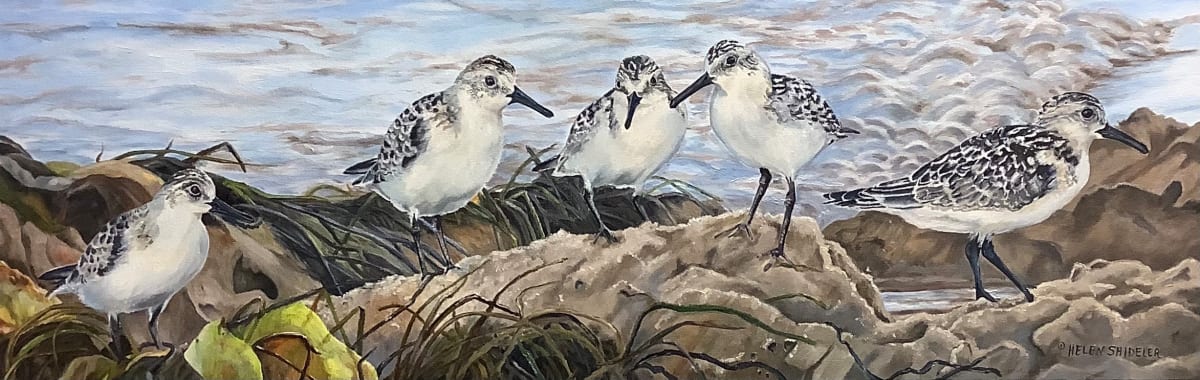 The Gathering by Helen Shideler 
