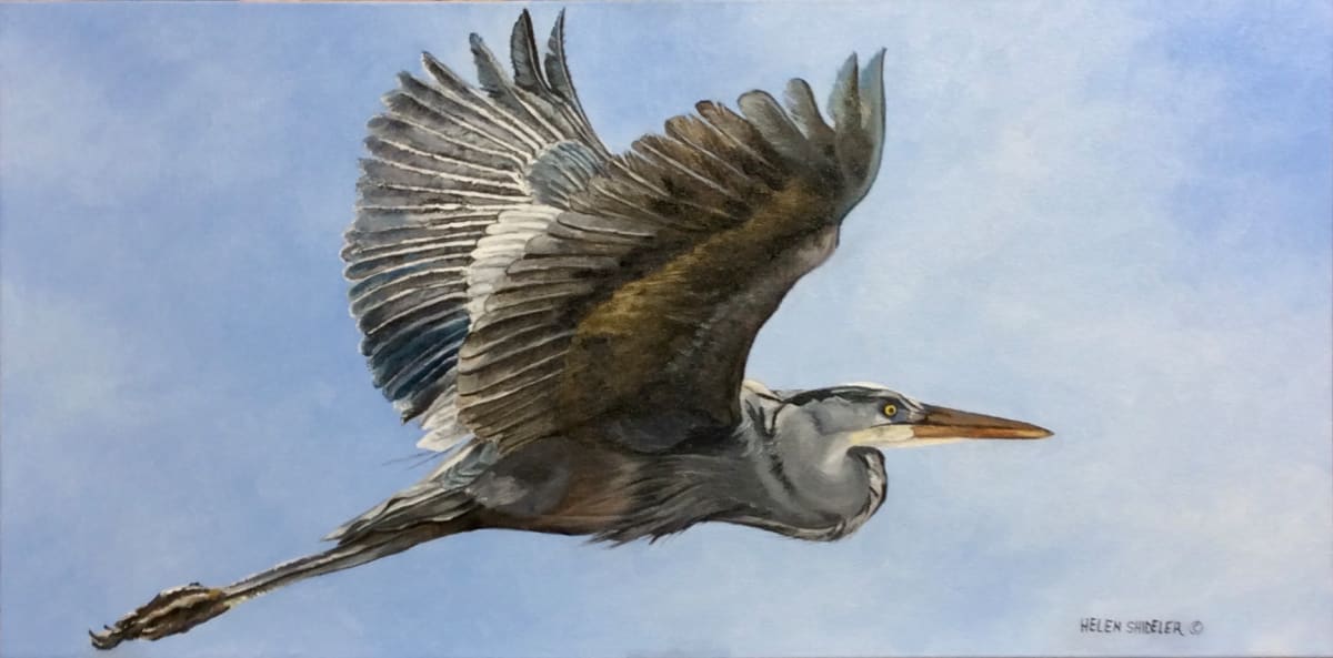 Flight of the Heron by Helen Shideler 