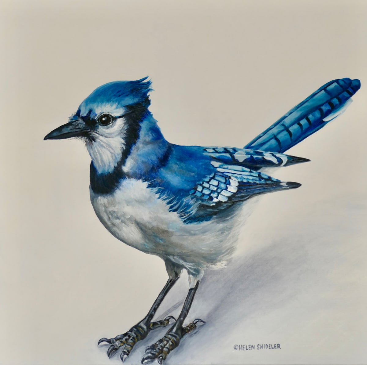 Royal Blue by Helen Shideler 