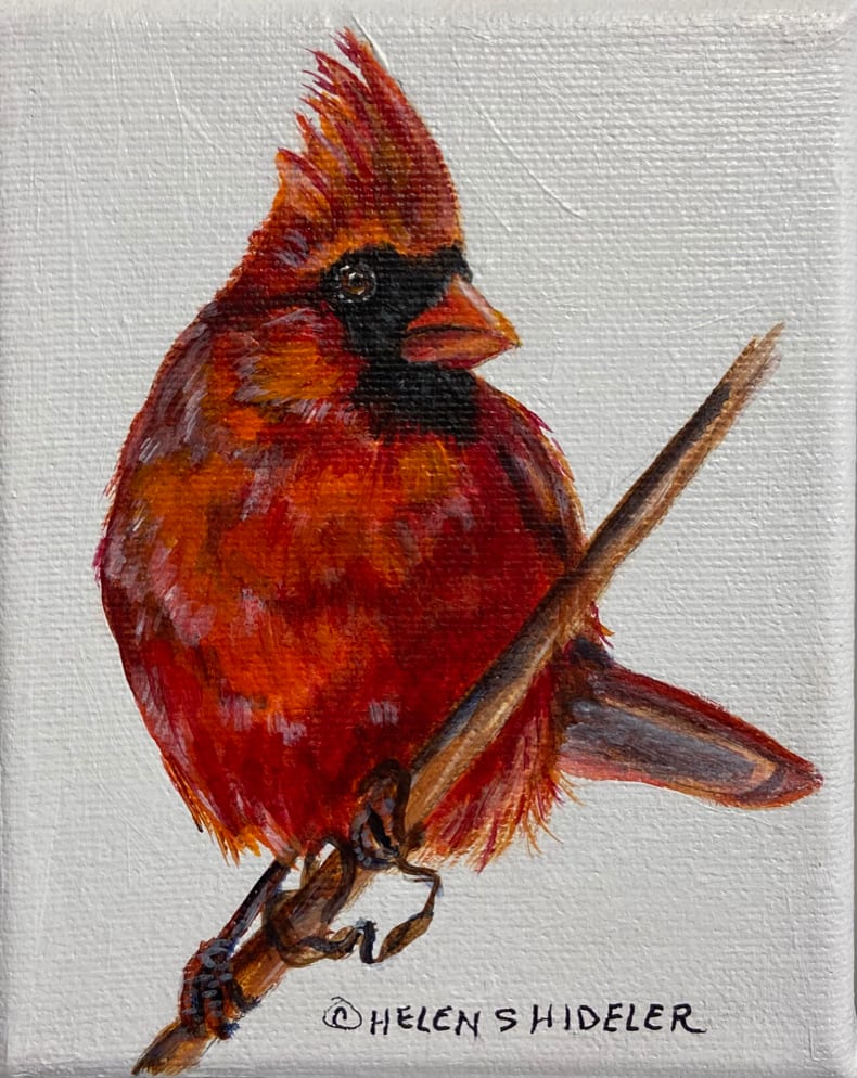 Proudly Perching, Image 2.