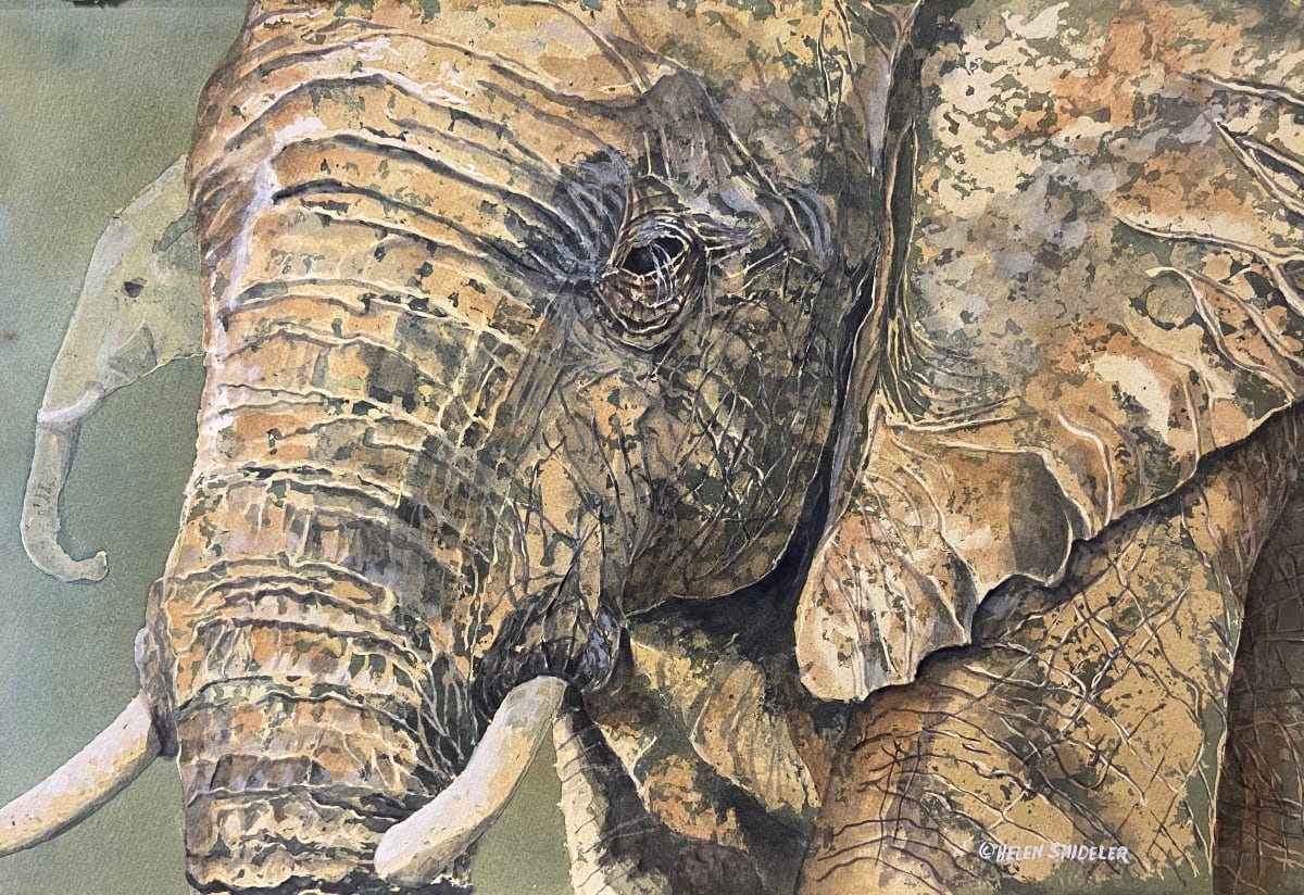 Atlas by Helen Shideler  Image: Atlas by Helen Shideler