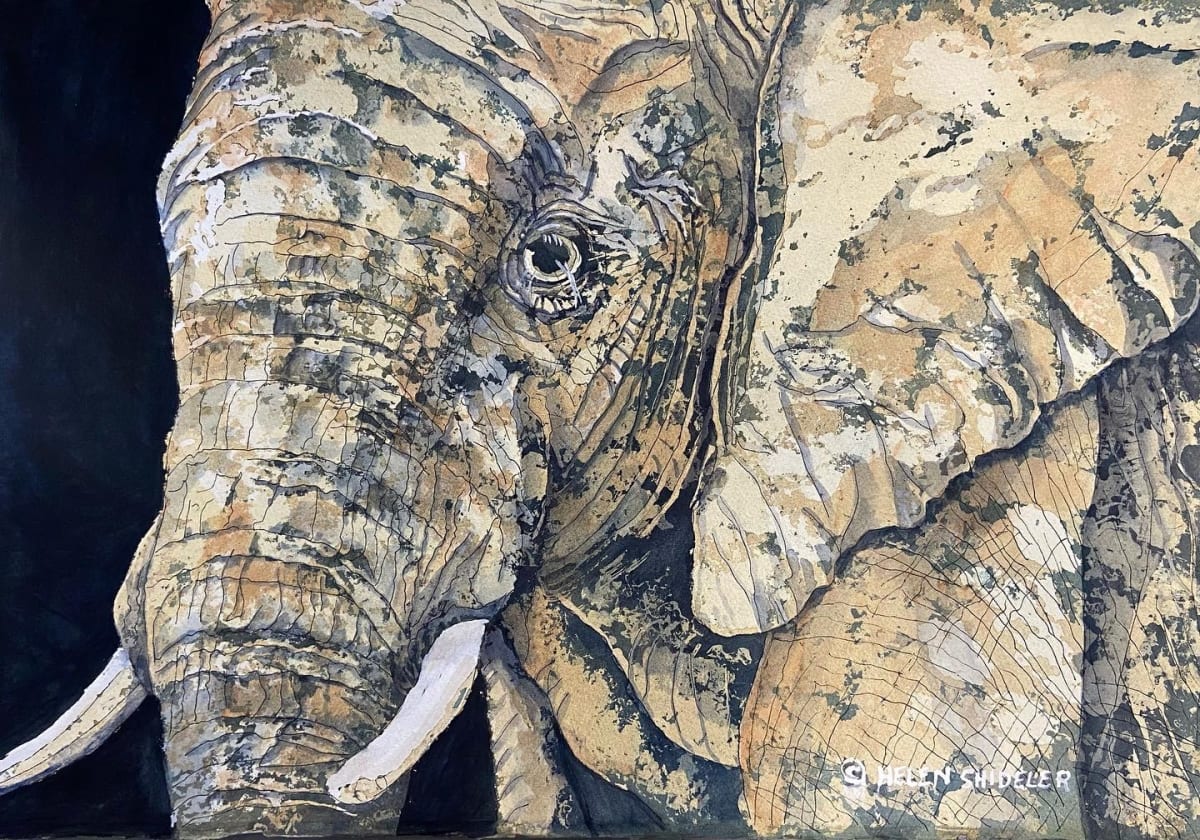 Titan by Helen Shideler  Image: Elephant painting