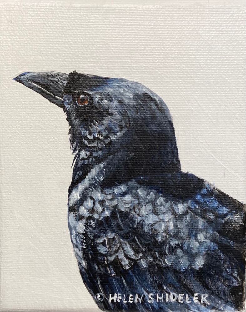 The Lookout by Helen Shideler 