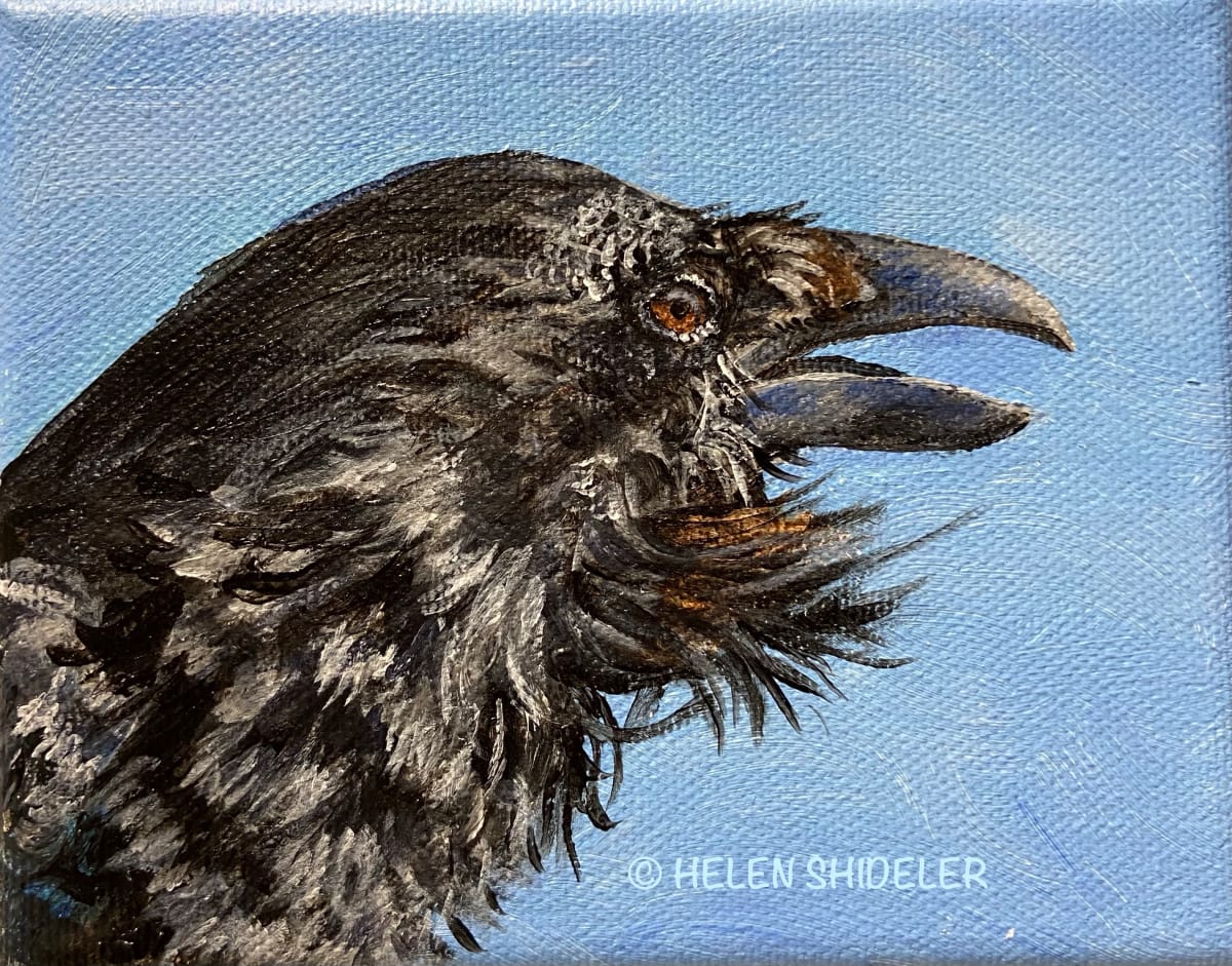 The Tenor by Helen Shideler 