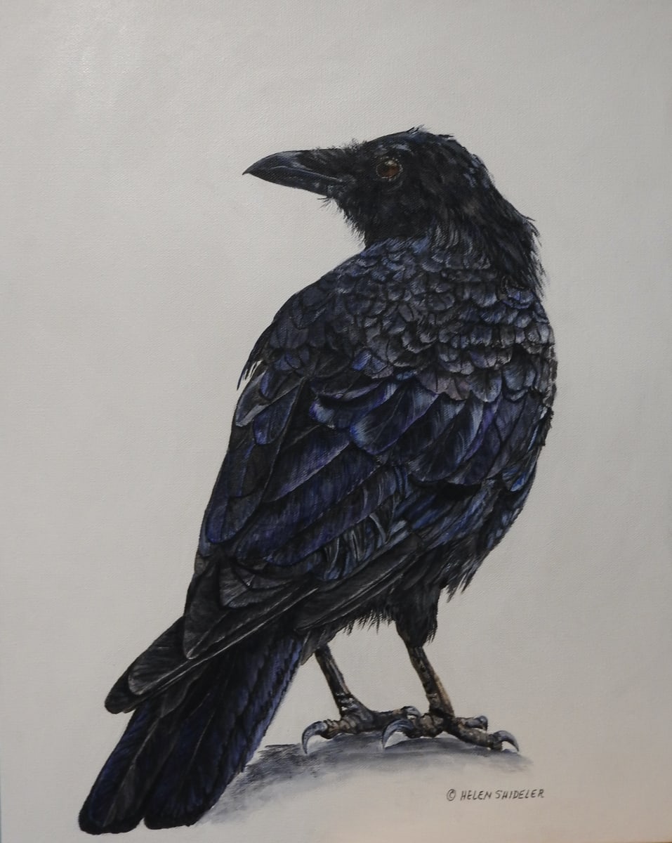 Looking Back by Helen Shideler  Image: Looking Back