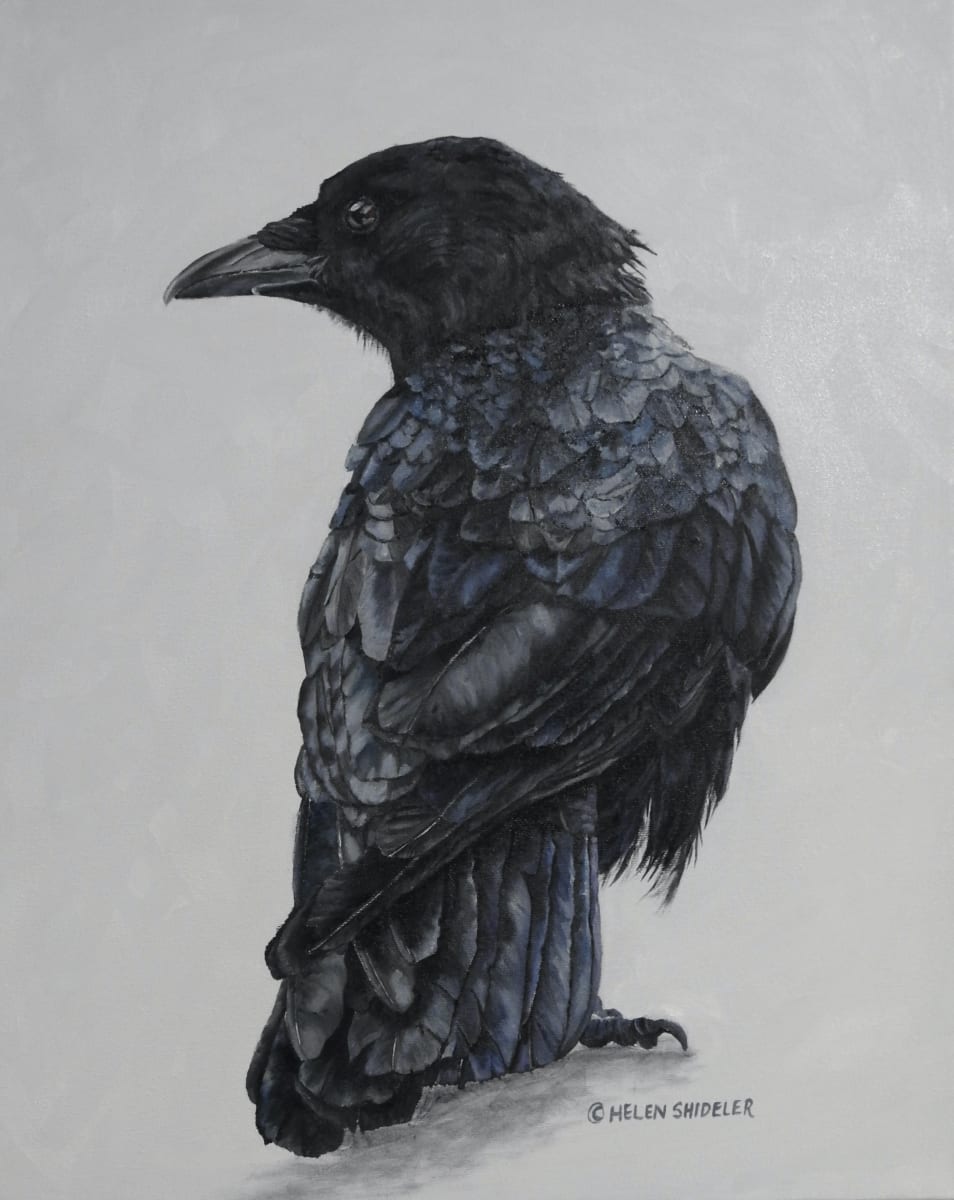 Intrigued by Helen Shideler 