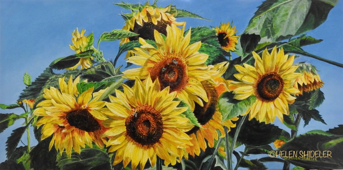 Colours of Ode to Joy by Helen Shideler  Image: Happy sunflower painting in oil