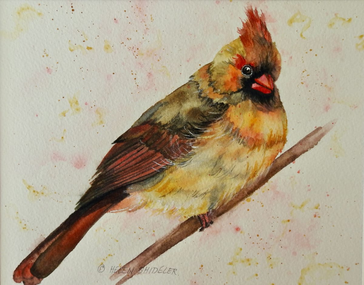 That Bashful Look by Helen Shideler 
