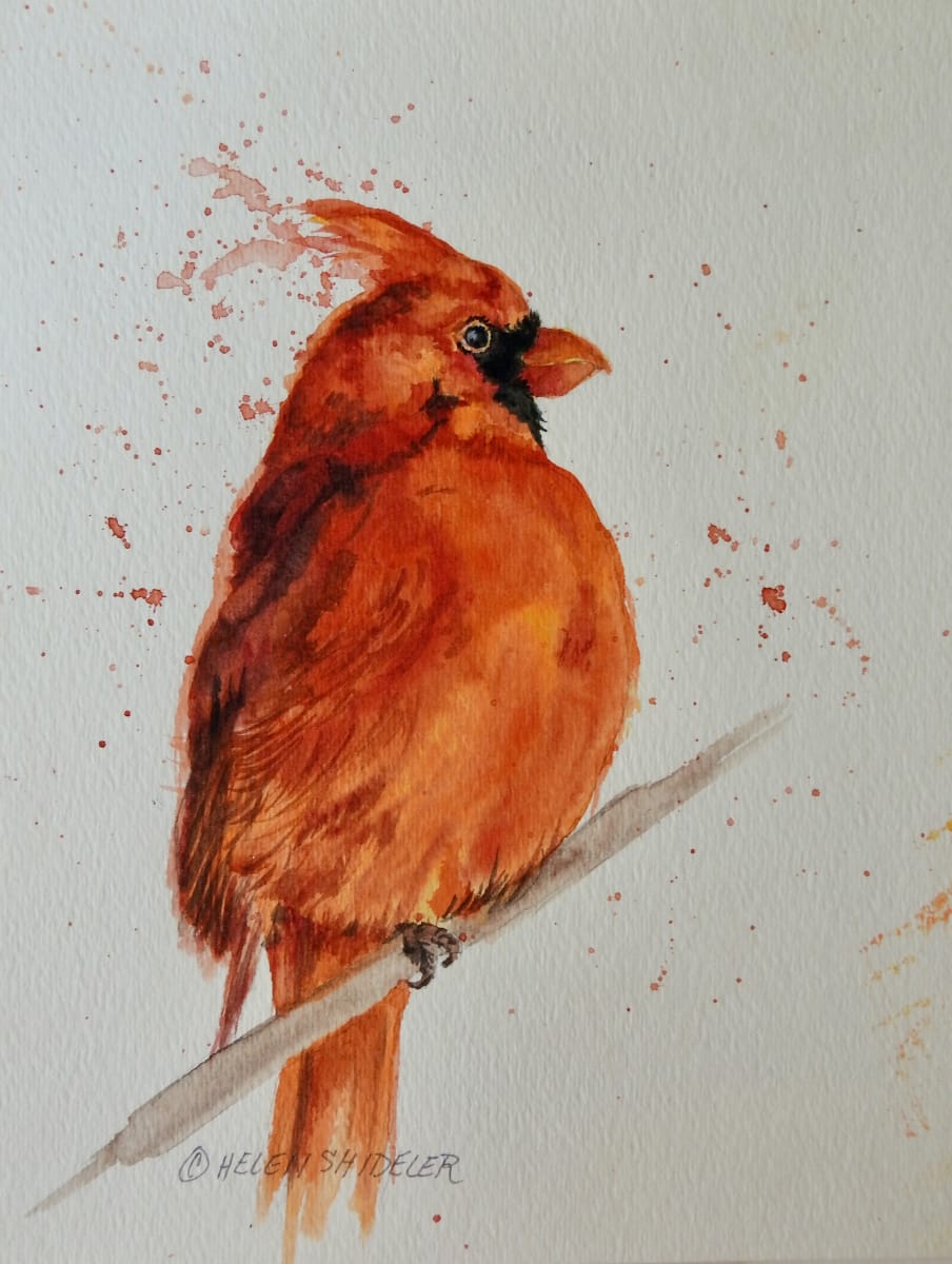 Handsome in Red by Helen Shideler 