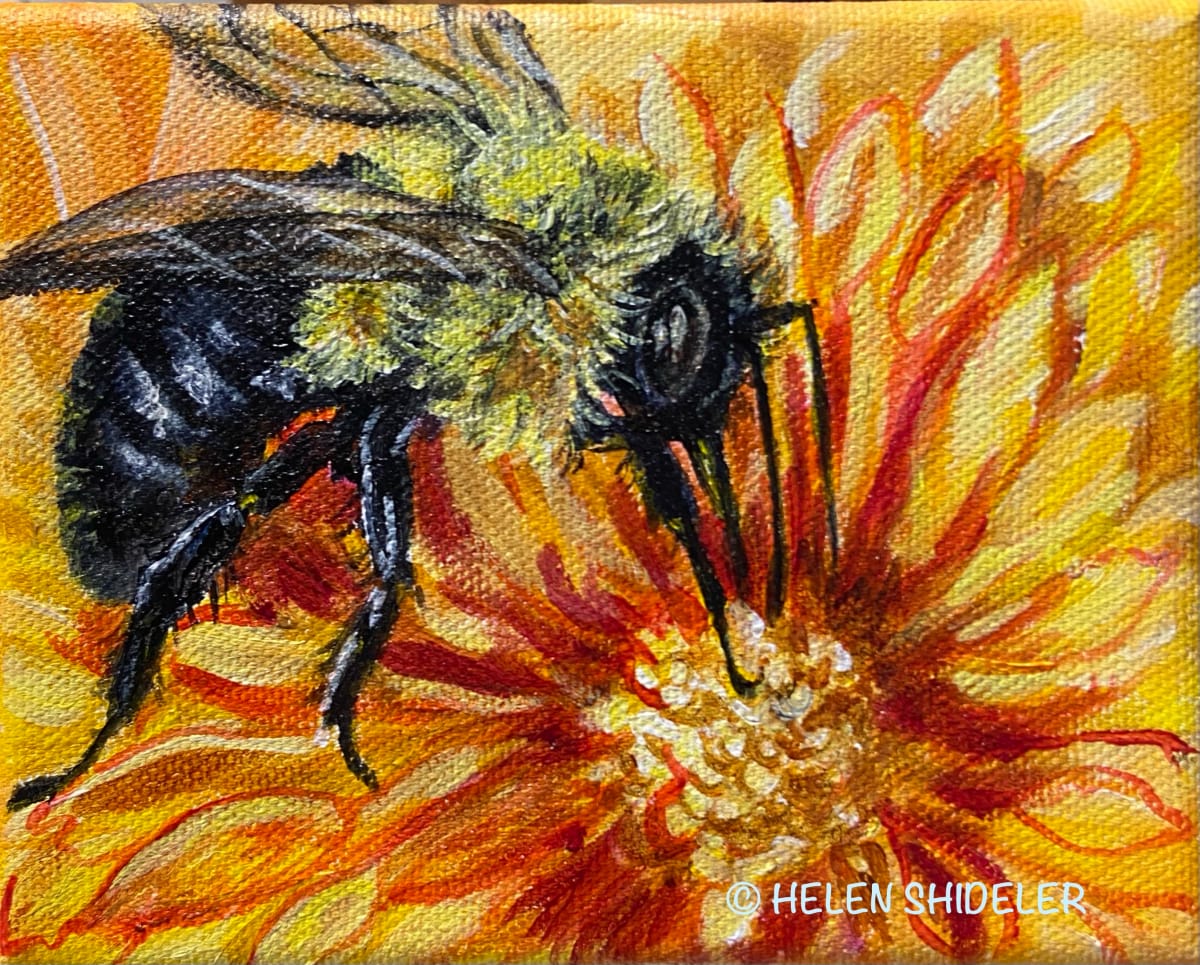 Bee Cause by Helen Shideler 