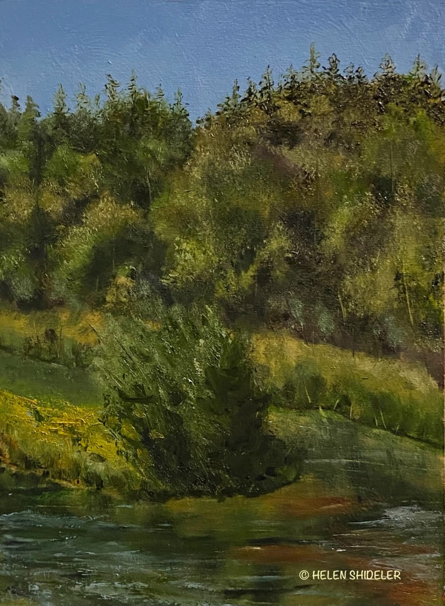 Changing Seasons Matthew's Cove Park by Helen Shideler 