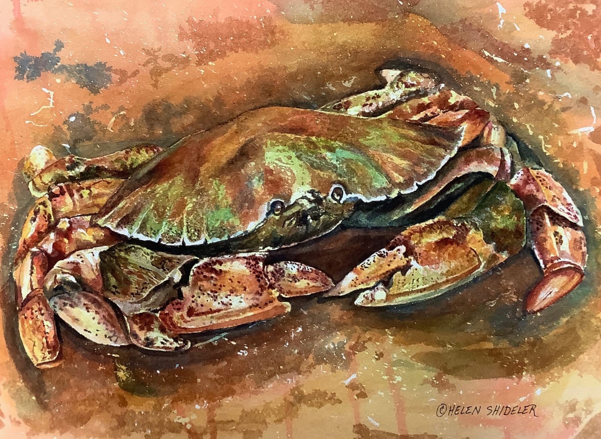Hidden in Plain Site II by Helen Shideler 