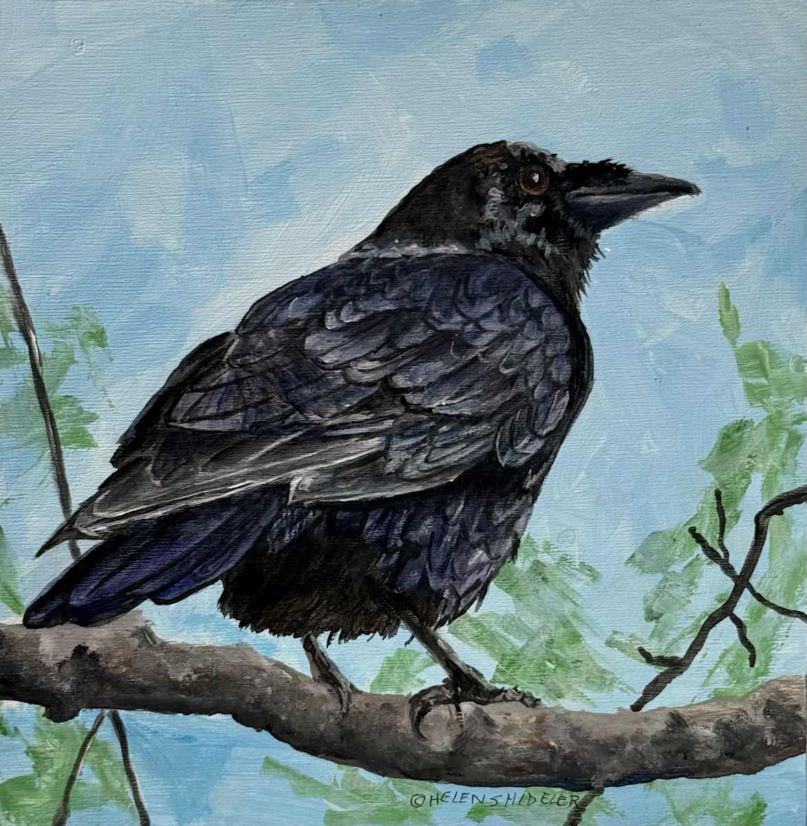 Surveying the 'hood by Helen Shideler 