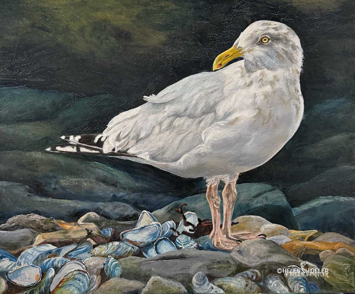 Gulliver by Helen Shideler 
