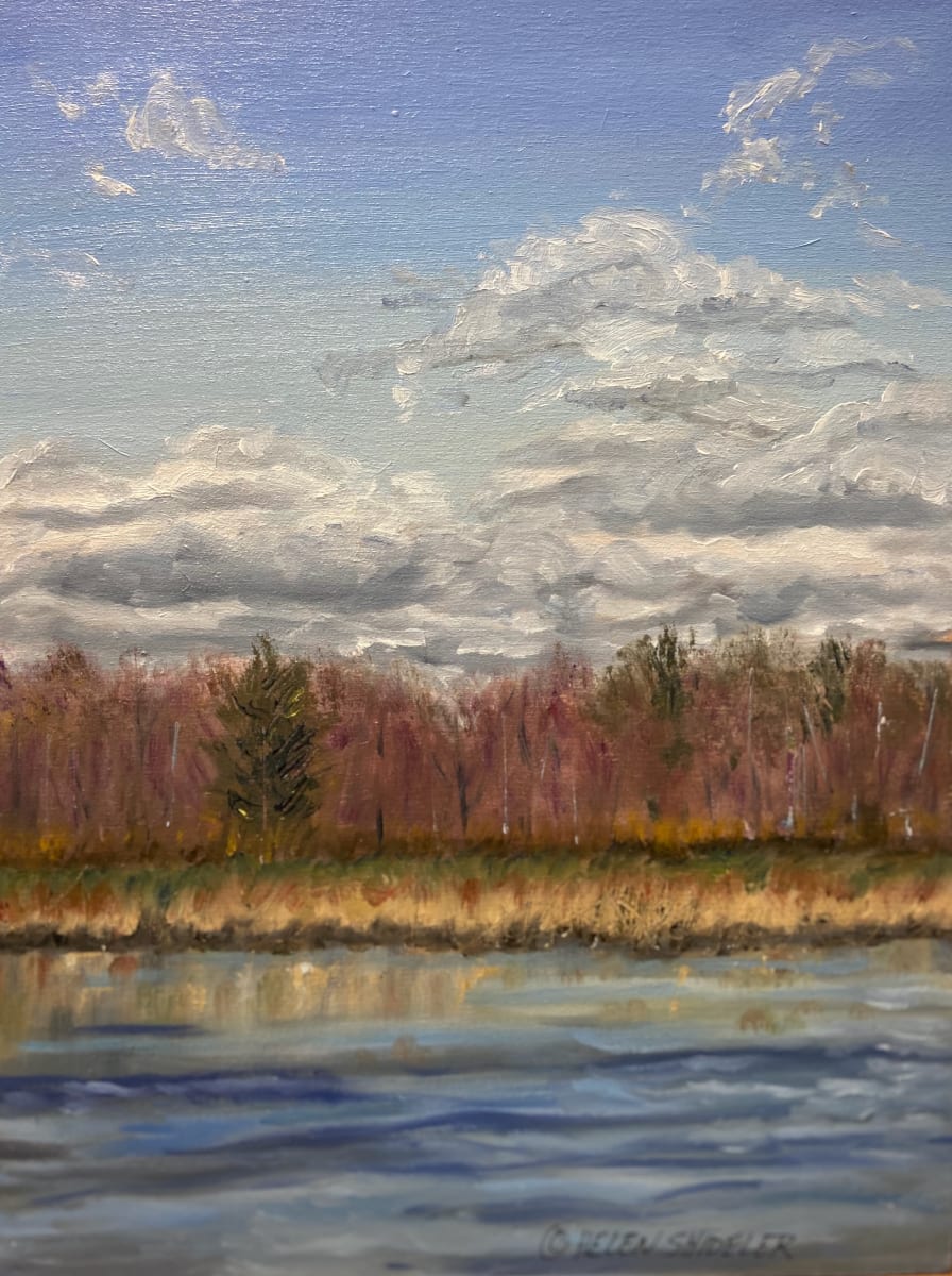 Early Spring Hampton Marsh by Helen Shideler  Image: Hampton Marsh near Rotary Park