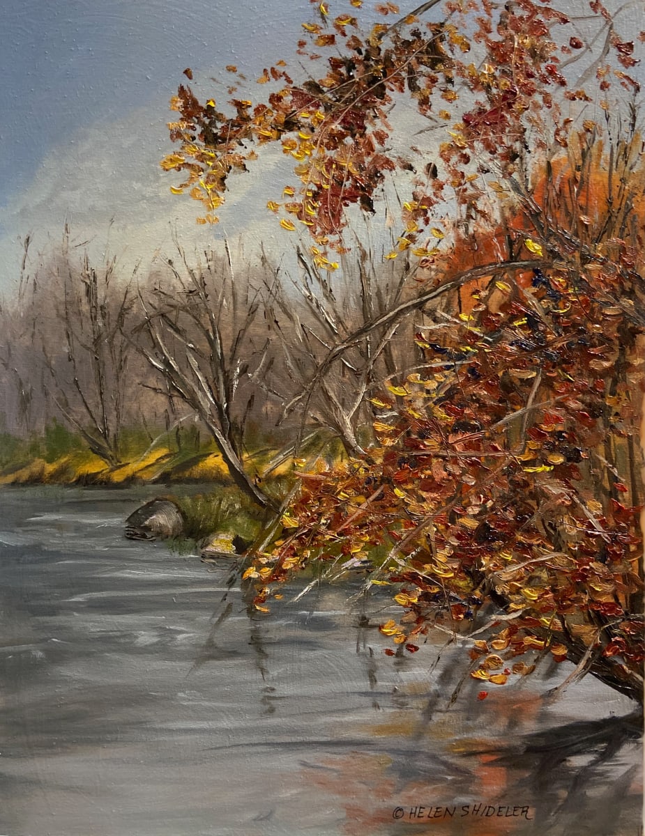 Late October Darlings Island by Helen Shideler 