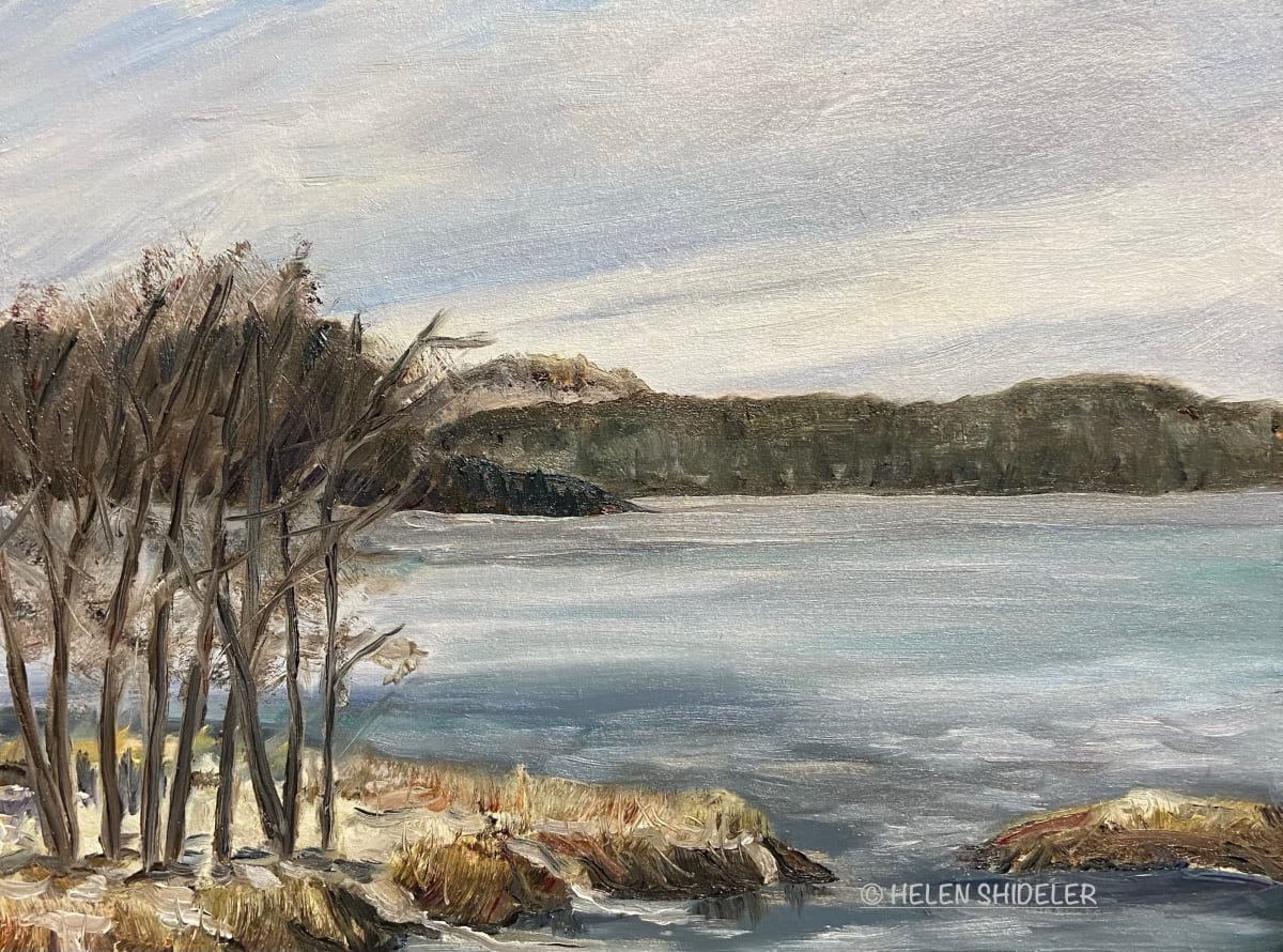 Rothesay Park Late January by Helen Shideler 