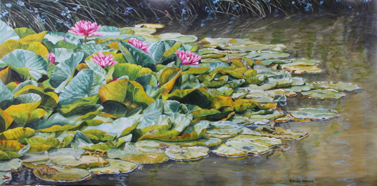The Pond in Mid-Summer by Helen Shideler 