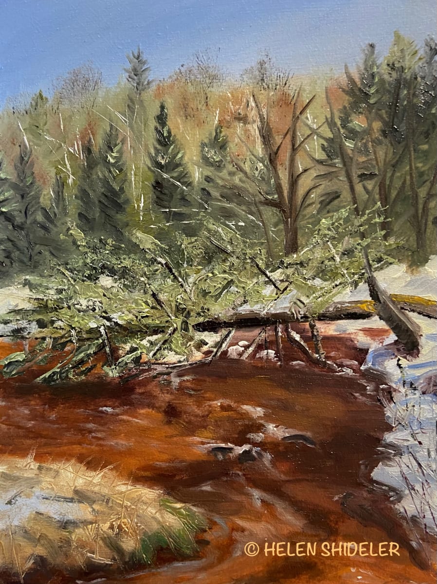 Spring Stream on the Kingston Peninsula by Helen Shideler 
