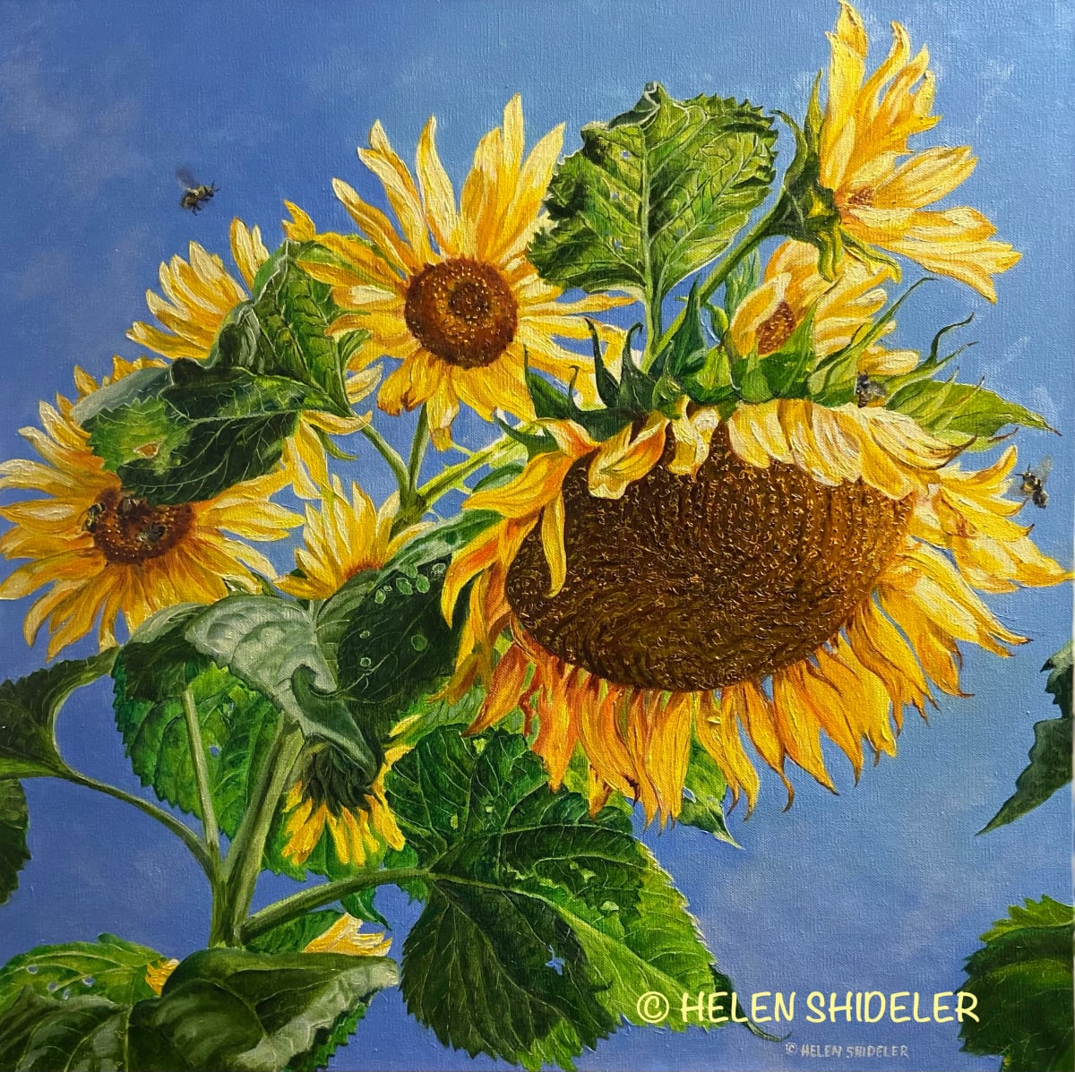 Dancing With the Sun by Helen Shideler 