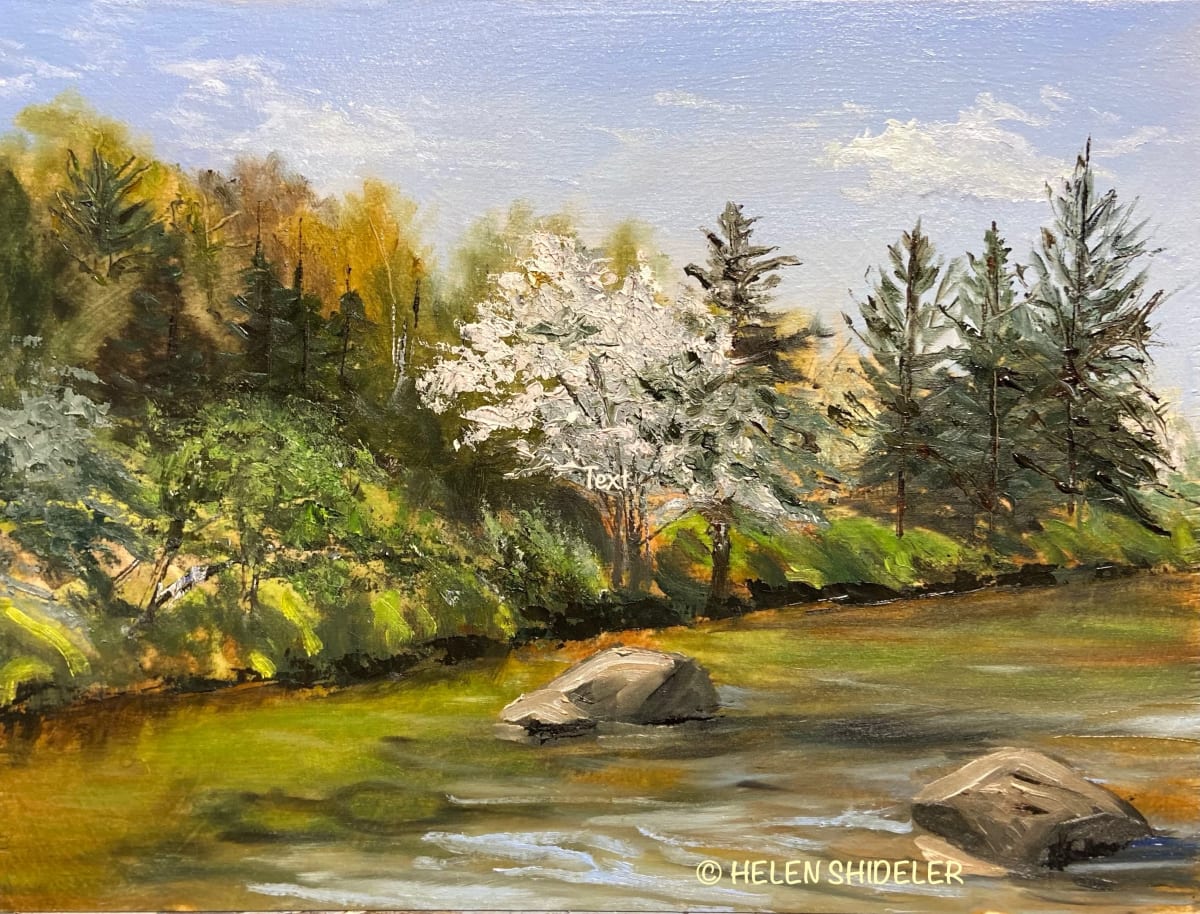 Under the Smithtown Covered Bridge in May by Helen Shideler 