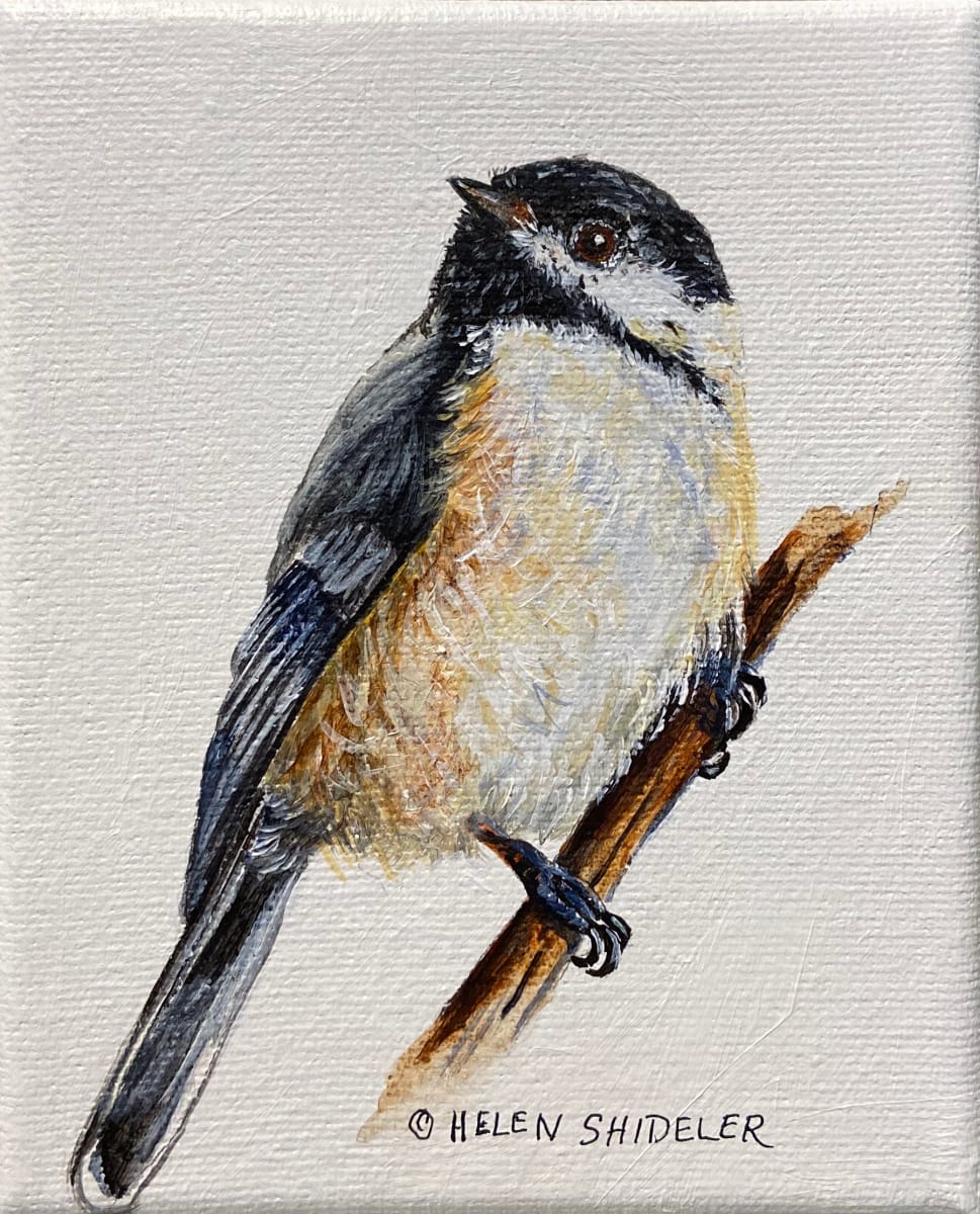 Perching Pretty 